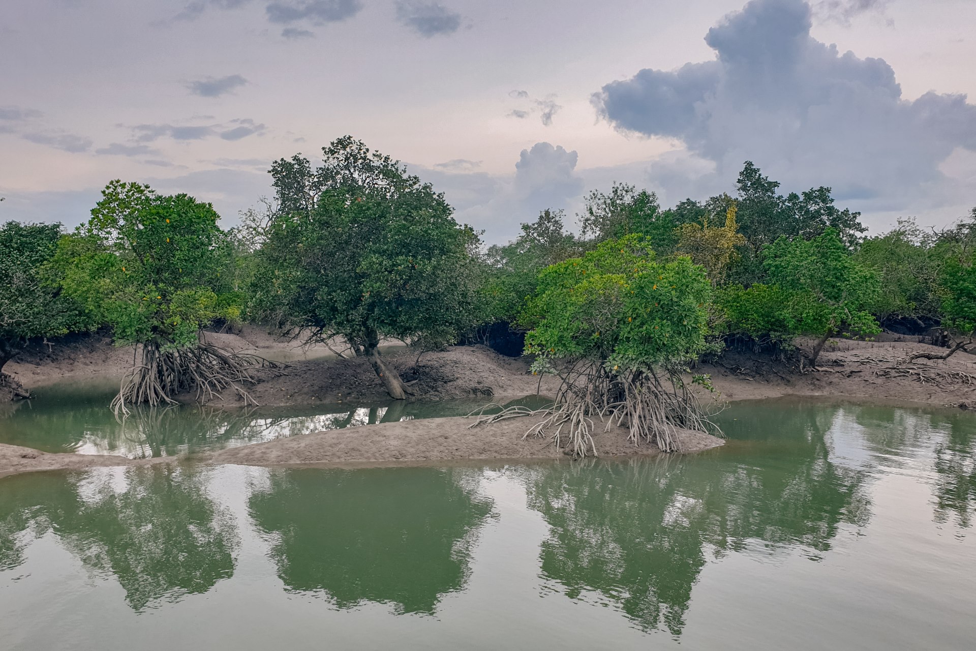 Sundarban